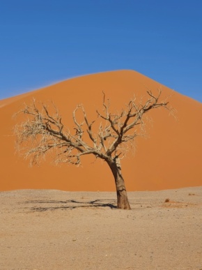accommodation_namibia_tolous_lodge_sossusvlei2
